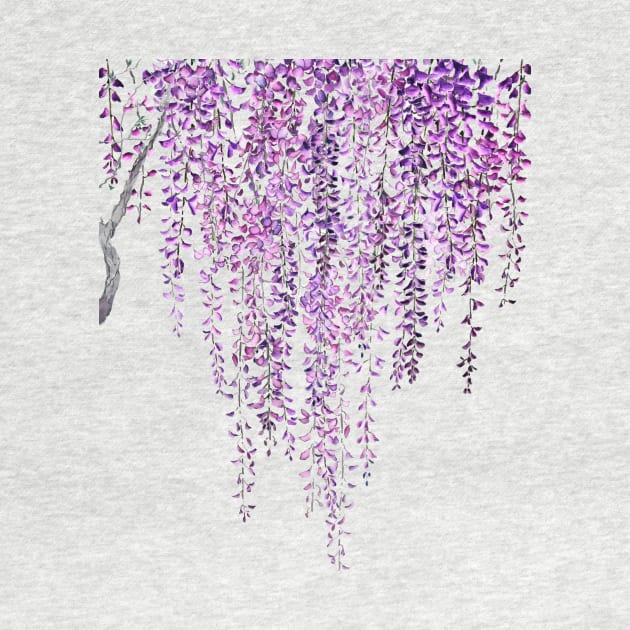 purple wisteria in bloom by colorandcolor